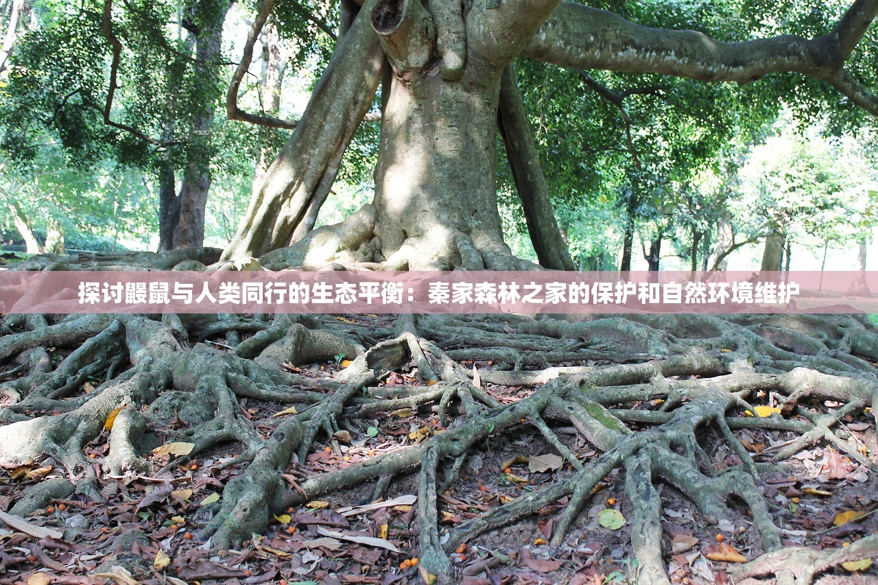 天下彩(9944cc)天下彩图文资料|国产化作答解释落实_豪华款.1.412 天下彩(9944cc)天下彩图文资料|国产化作答解释落实_豪华款.1.412