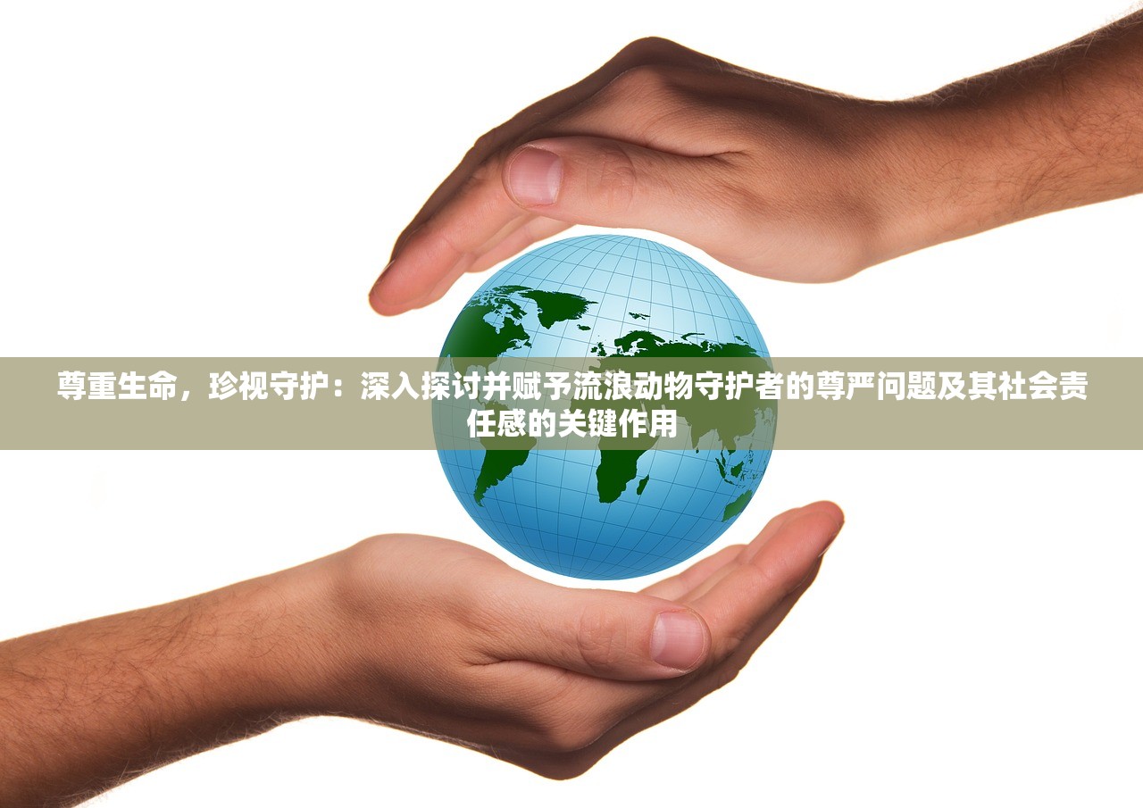 2024今晚马报资料|综合数据解释落实_适配版.5.688