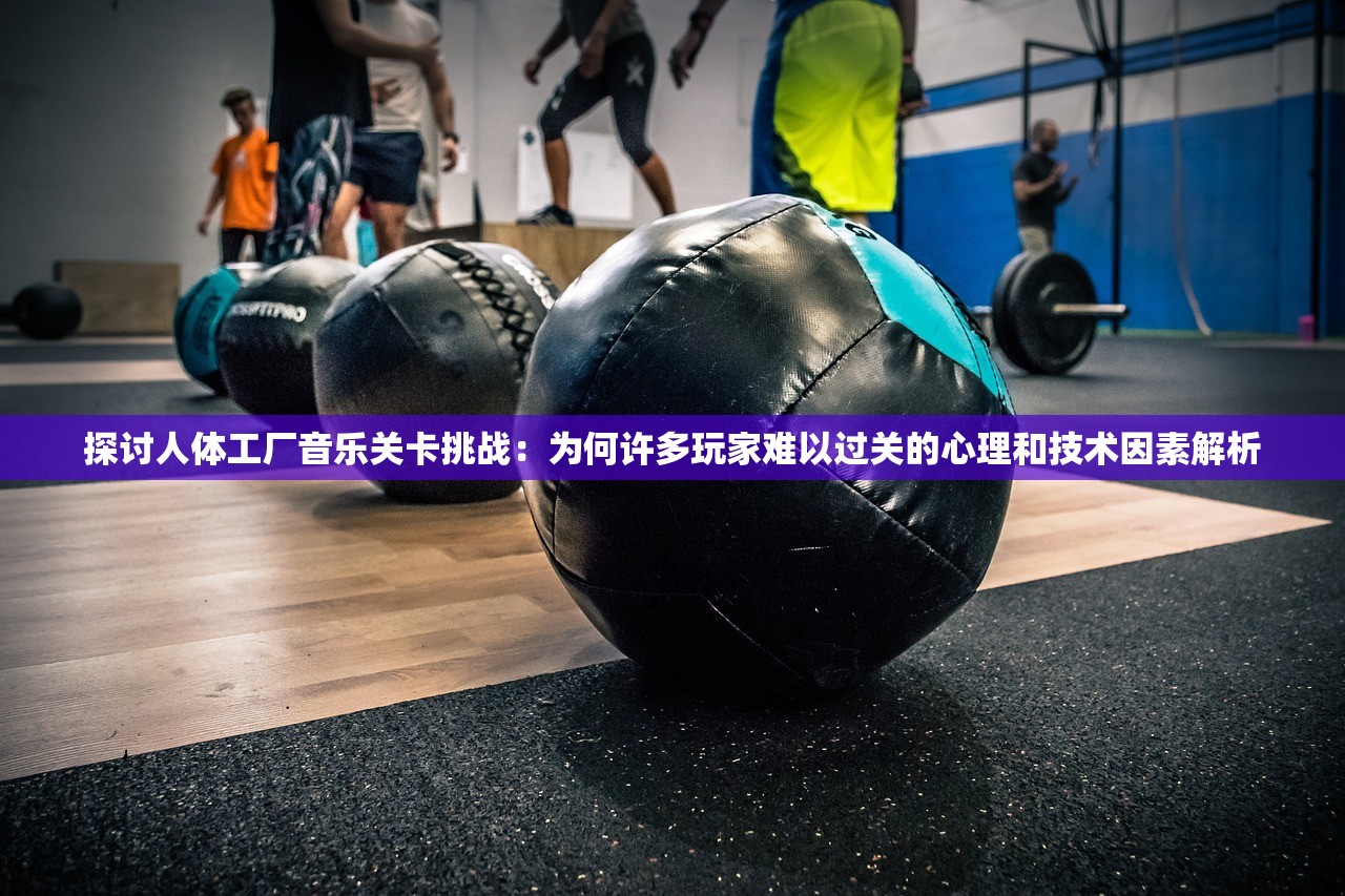 2024年澳门今晚开码料|权威分析解释落实_纯净型.5.424