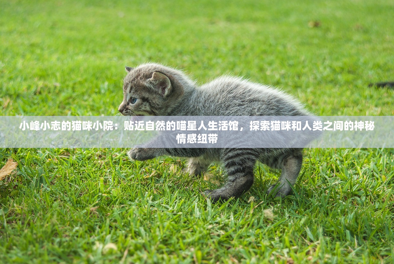 新奥天天开奖免费资料1|探索未知的奇妙旅程_Pixel.5.794 新奥天天开奖免费资料1|探索未知的奇妙旅程_Pixel.5.794