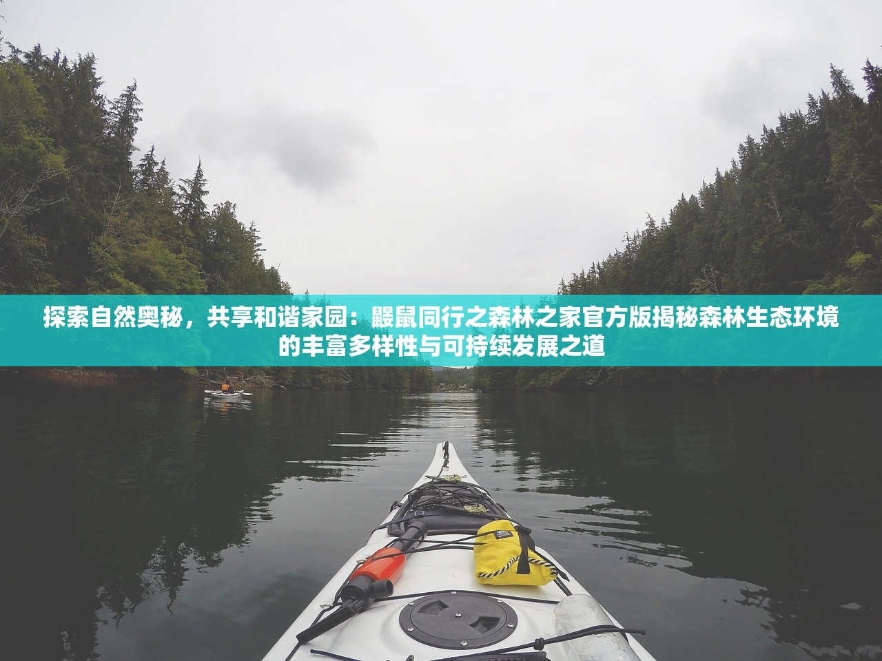 新奥天天开奖免费资料1|探索未知的奇妙旅程_Pixel.5.794 新奥天天开奖免费资料1|探索未知的奇妙旅程_Pixel.5.794