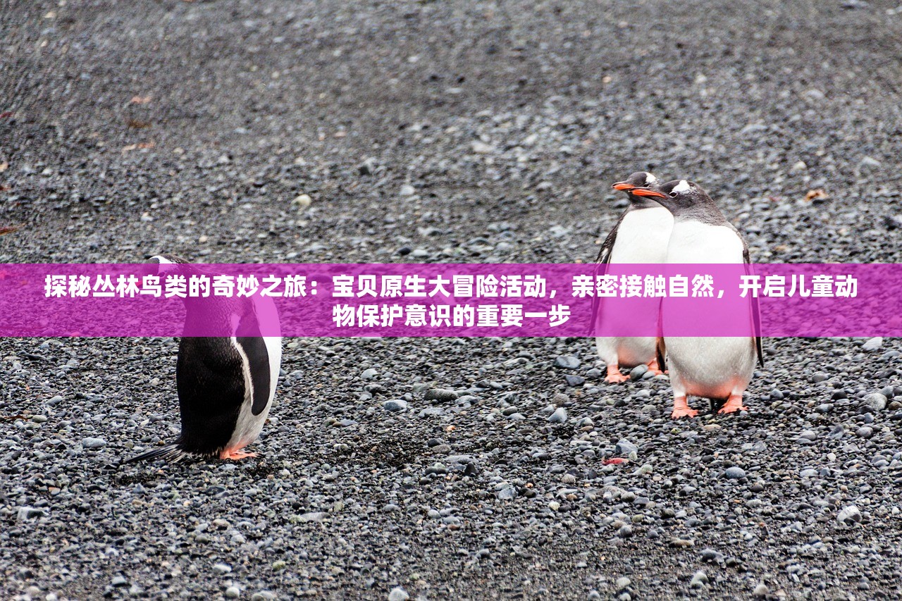 赤兔版六给彩资料港澳|综合分析解释落实_信息款.5.154