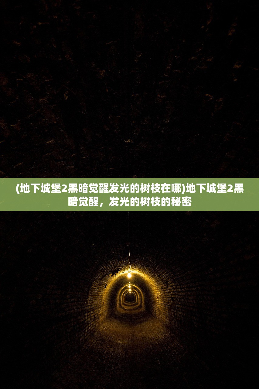 (地下城堡2黑暗觉醒发光的树枝在哪)地下城堡2黑暗觉醒,发光的树枝的秘密 (地下城堡2黑暗觉醒发光的树枝在哪)地下城堡2黑暗觉醒,发光的树枝的秘密