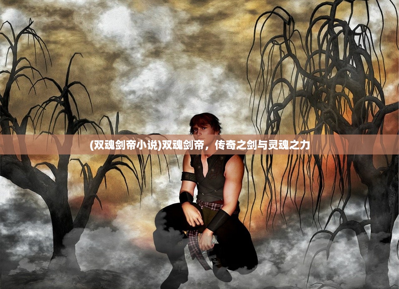 (双魂剑帝小说)双魂剑帝,传奇之剑与灵魂之力 (双魂剑帝小说)双魂剑帝,传奇之剑与灵魂之力