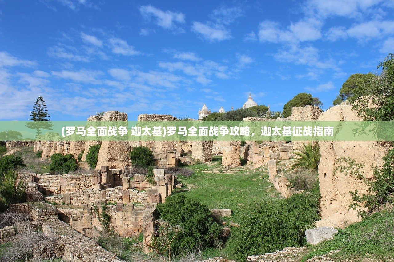 (修真江湖2宗门选择顺序)修真江湖2宗门选择策略及深度分析