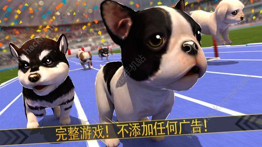 甜狗日常模拟器跑酷下载-甜狗日常模拟器手机版下载无限金币v.2.38
